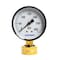 Thrifco Plumbing 2-1/2 Inch 300 PSI 3/4 Inch GHT, P2A Water Pressure Test Gauge,  4400365 - alternate 1